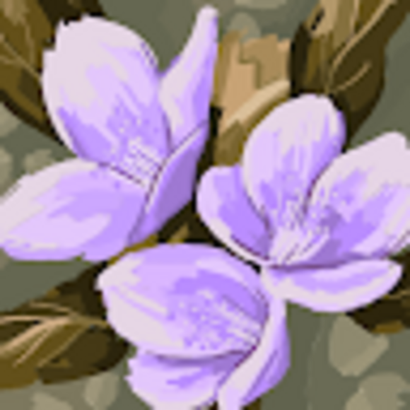 tolbertjewel52
